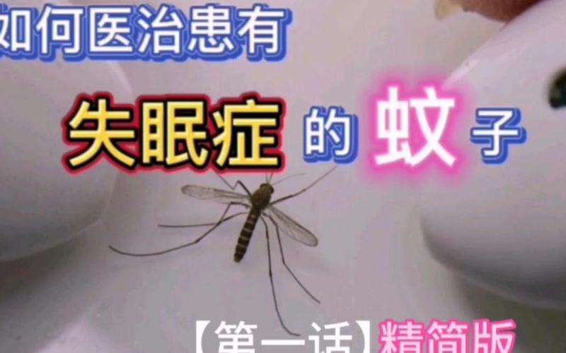 精简标题：如何找到合适的私服？